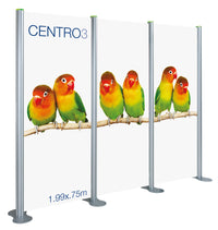 Centro Window