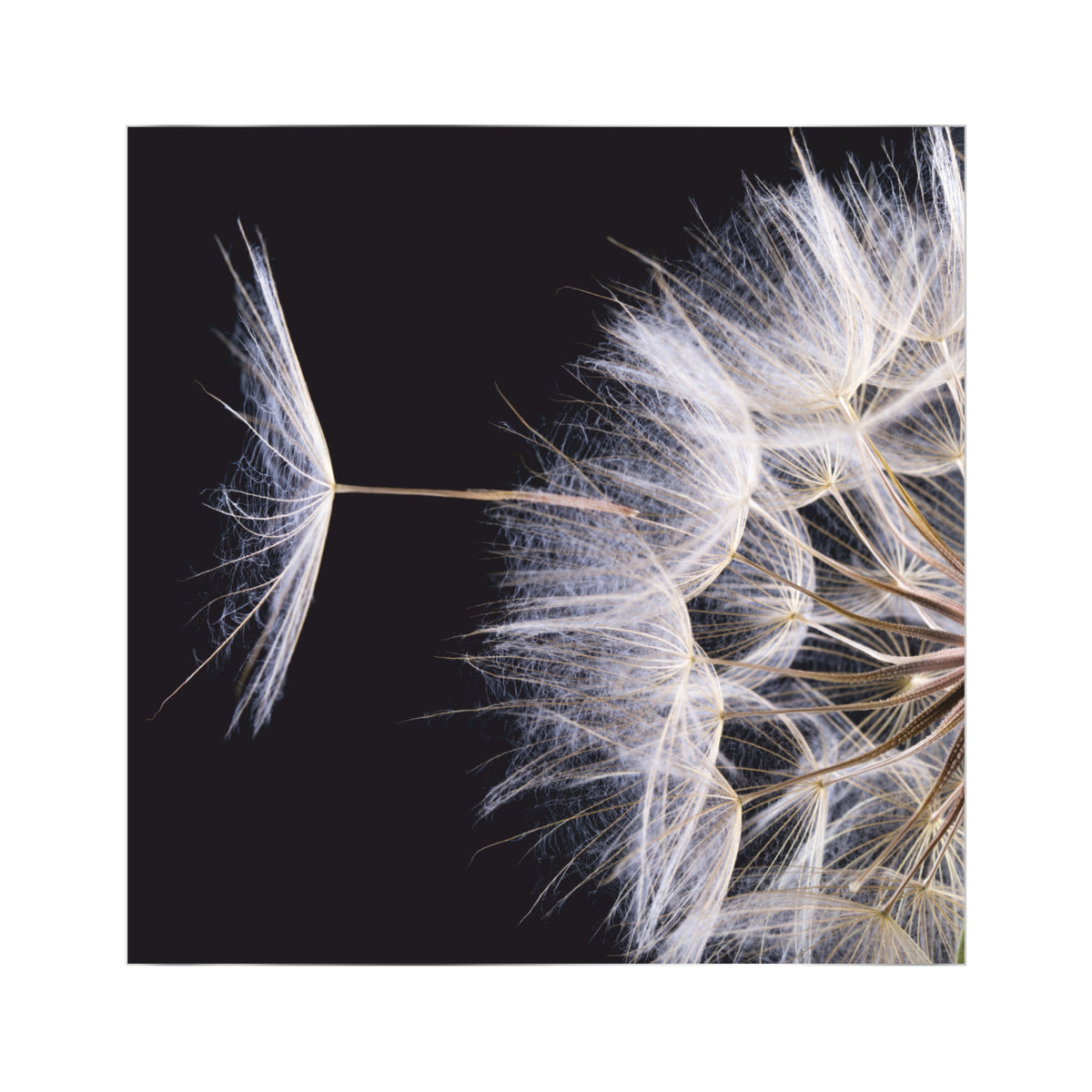 Pop-up Textile